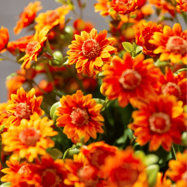 š„Letzter Tag! Nur 3⬠pro Stück ā Künstliche Gartenblumen āSunset Mumsā ā UV-bestƤndig, wasserfest und windfest