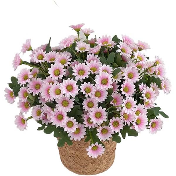 💥Letzter Tag! Nur 3€  pro Stück – Künstliche Gartenblumen „Sunset Mums“ – UV-beständig, wasserfest und windfest